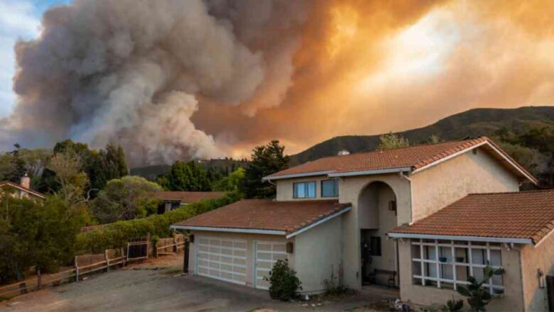 UCLA Researchers Develop AI-Powered System to Predict Wildfire Fuel Sources