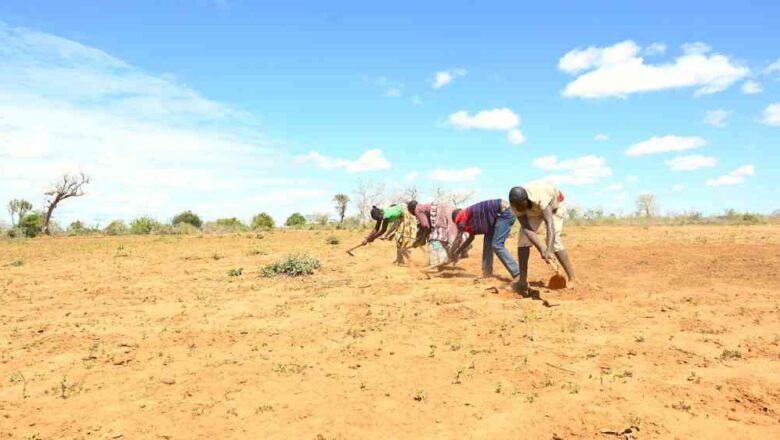 Africa Smallholder Farmers Face Climate Crisis as Yields Plummet