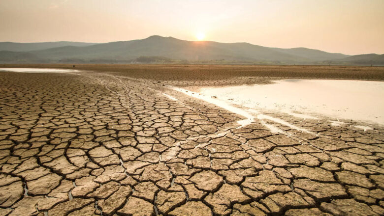 Extreme Drought Crisis Deepens From Silent Killer to Global Threat Dangerously