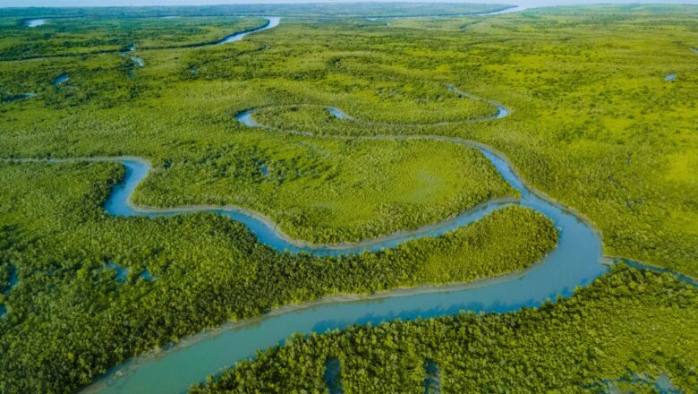 Sundarbans Struggle: Rising Waters Threaten Lives, Livelihoods and Heritage