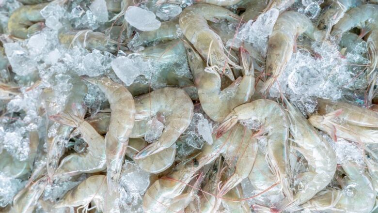FDA Flags Radioactive Contamination Risk in Frozen Shrimp