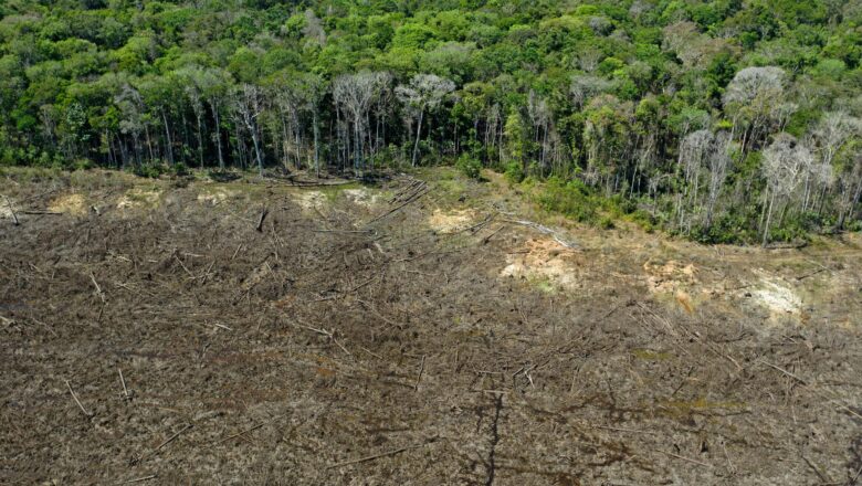 Brazil Suspends Amazon Soy Moratorium, Raising Global Deforestation Fears