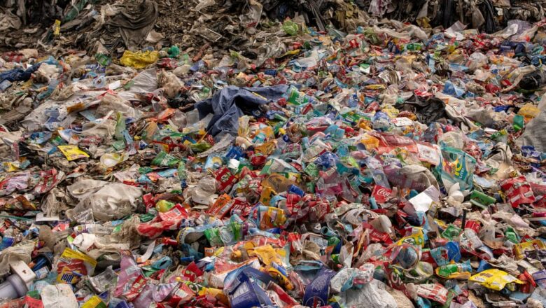 Biodegradable Plastics Offer Hope as Global Treaty Talks Collapse
