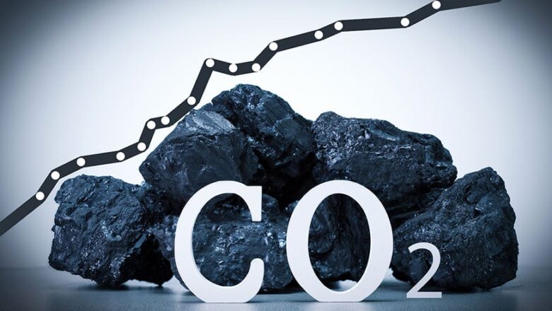 India Blue Carbon Potential Faces Hurdles Amidst Policy Gaps and Lack of Finance