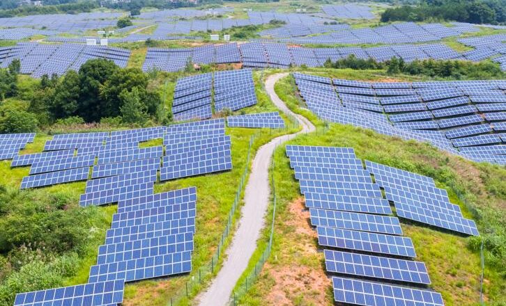 Zambia Empowers Small Businesses to Drive Green Growth with Renewable Energy