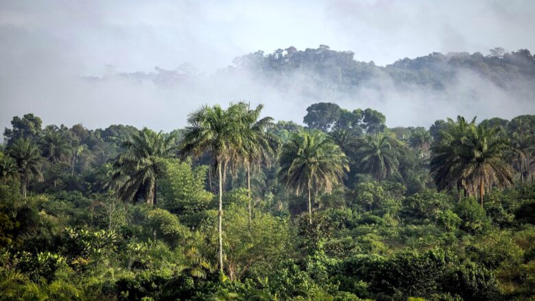 A New Approach to Conservation Liberia to Pay Communities to Protect Forests