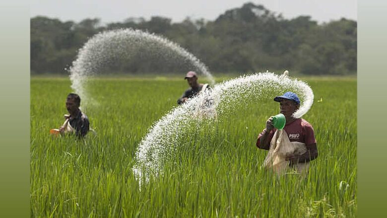 Fertiliser Crisis Grips India: Good Monsoon, Bad Planning Leaves Farmers in a Bind