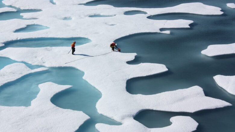 A temporary slowdown in glacial melt does not alter long-term trend of glacial loss