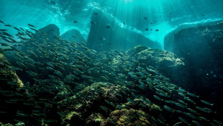 Panama Vital Ocean Upwelling Fails for First Time on Record