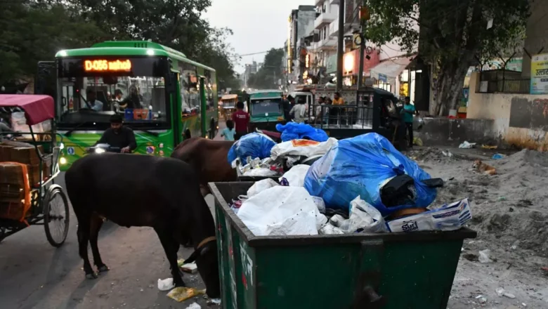 CAQM Partners with WRI to Map Waste Burning Hotspots in NCR