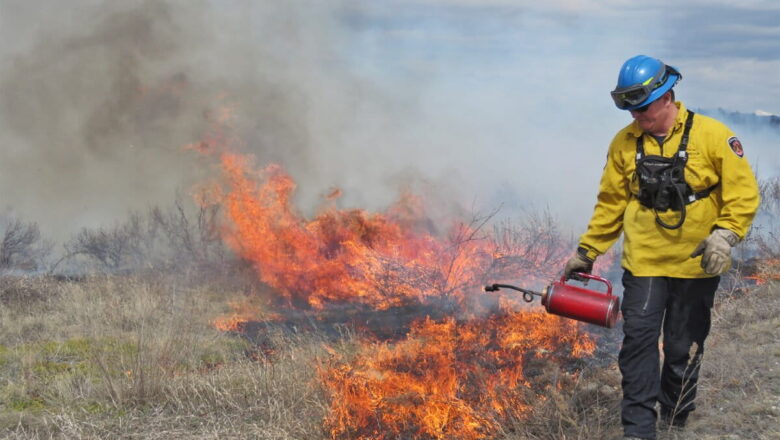 Rethinking Wildfire Models: Experts Call for New Tools to Protect Communities