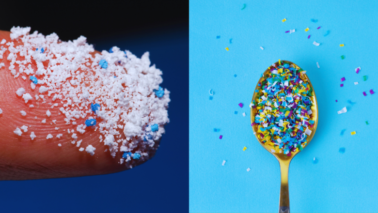 New Study Finds Microplastics Disrupt Gut Health and Weaken Immunity