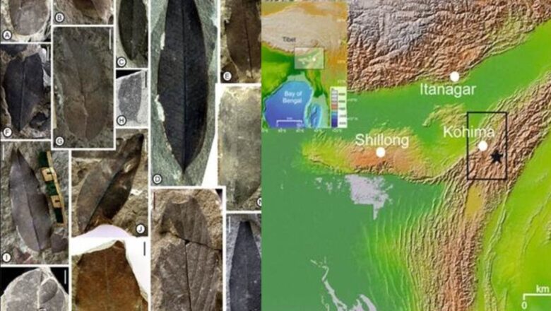 New Study Links Tropical Rains to Antarctic Ice Formation 34 Million Years Ago