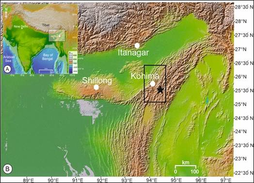 Ancient Leaves from Nagaland Reveal How Antarctica’s Ice Formation Shaped the Indian Monsoon