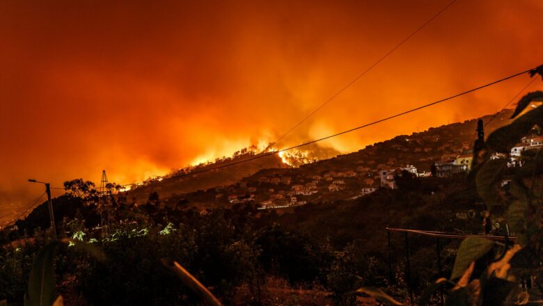 Lightning Strikes Fueling Canada Wildfires, New Study Warns of Worsening Trend