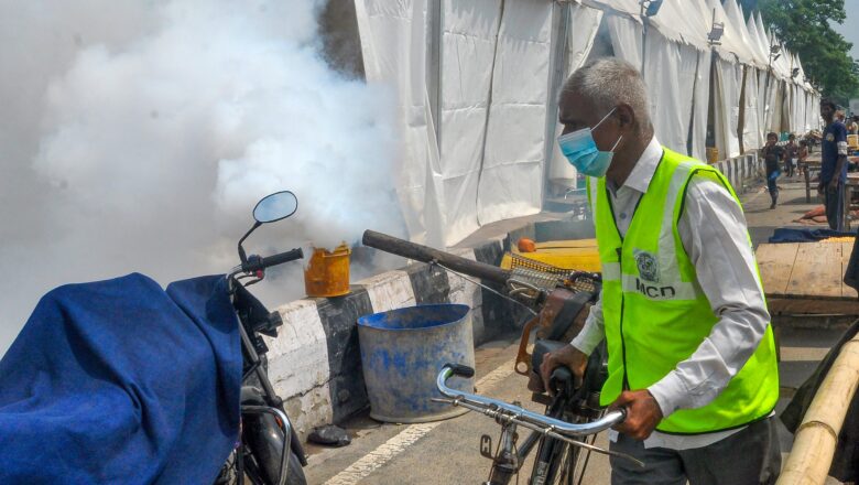 New Study Finds Rising Temperatures from Climate Change Are Fueling a Global Surge in Dengue Infections