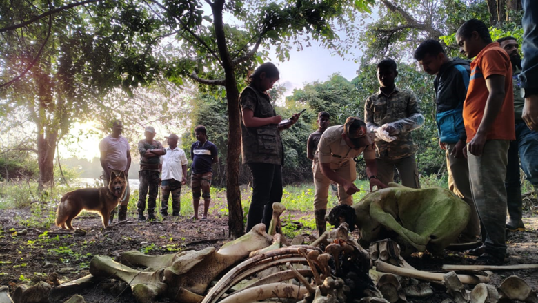Scientists Accused of Silence on “Eco-Disastrous” Projects in Western Ghats