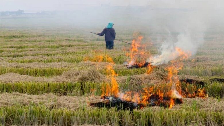 SC Proposes Jail Time for Stubble Burning, Says Farmers’ Contribution Doesn’t Justify Environmental Harm