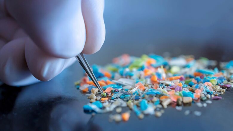 Researchers Develop Bacteria-Based Material to Replace Petroleum in Biodegradable Plastic