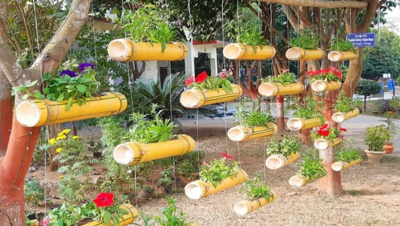 Eco Innovation: Assam Bamboo Revives Arid Rajasthan Village