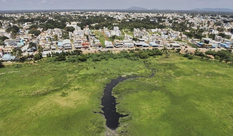 The race to save Bengaluru’s vanishing lakes