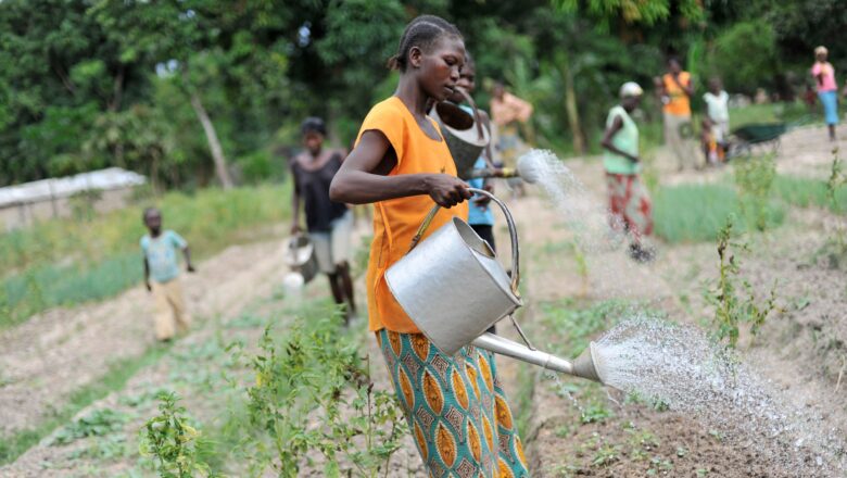 WTO and FAO Strengthen Partnership to Tackle Global Food and Climate Crises