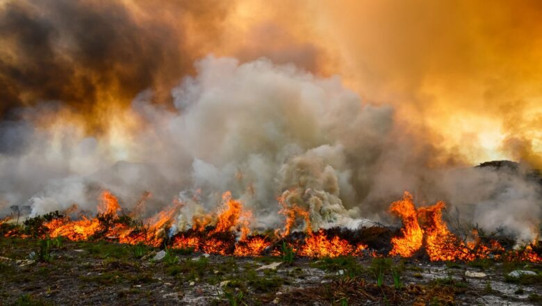 Western Wildfire Smoke Poses Health Risks, Even Miles Away