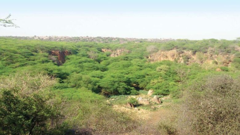 Fresh Dispute Arises Over Religious Group Land in Delhi’s Ridge