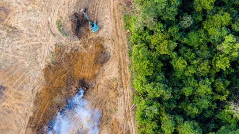 Amazon Deforestation to Bring ‘Harsher Swings’ of Extreme Weather, New Climate Model Shows