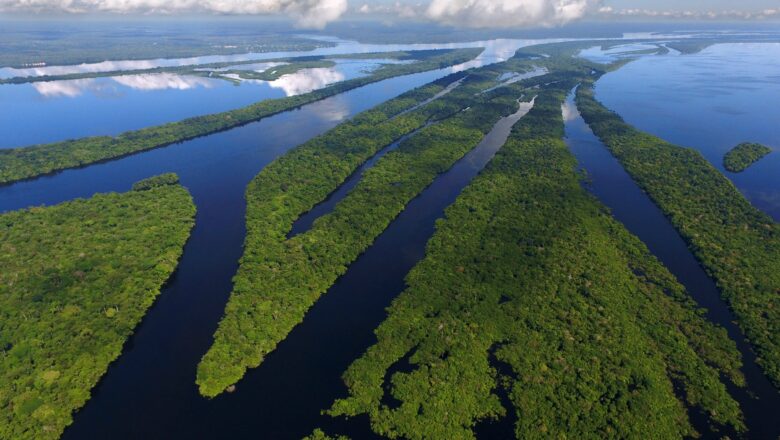 Fate of ‘Flying Rivers’ May Decide Amazon Tipping Point, New Report Warns