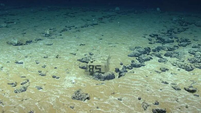 Europe Ocean ‘Treasure’ North Sea Tapped for Massive Green Hydrogen Production