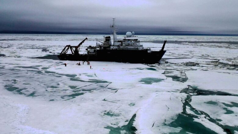 Groundbreaking Discovery Tiny Arctic Algae Defy Biological Limits by Moving in Extreme Cold