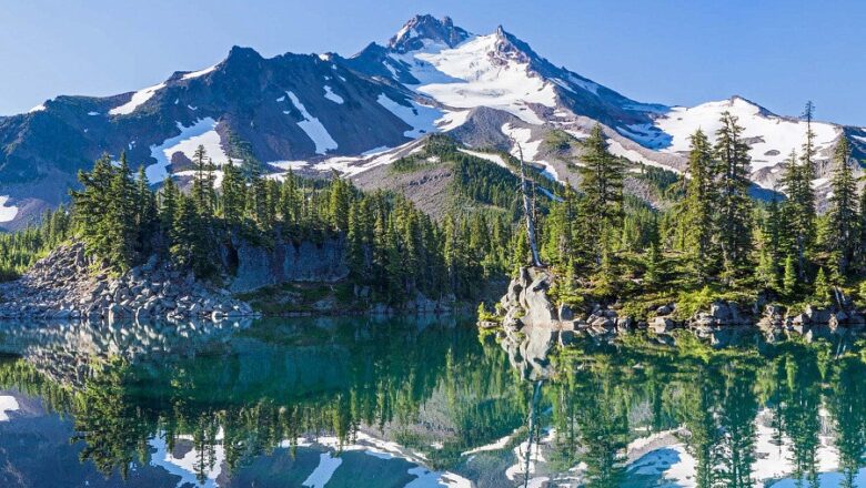‘Fractal’ Creeks and Hardy Alders: New Study Reveals Nature Based Defenses Against Salinization