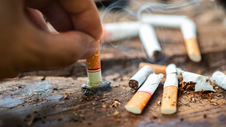 India Sees Over 30% Surge in Environment Related Crimes in 2023, Driven by Tobacco Violations