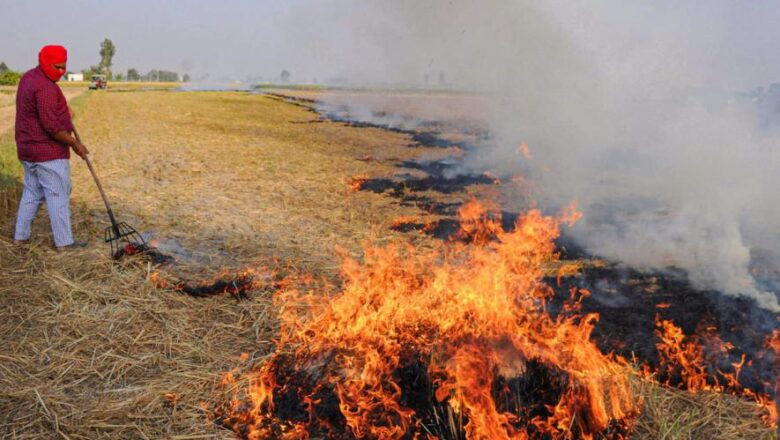 Punjab Farmers Protest Crackdown on Stubble Burning, Demand Cash Incentive