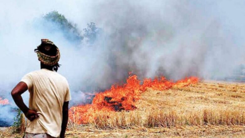 Punjab Dominates Early Stubble Burning Incidents UP Share Rises Sharply