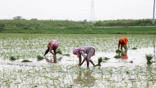 Solar Powered Farming Threatens Pakistan with Water Catastrophe