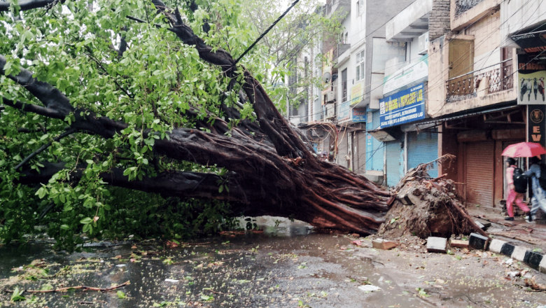 Heavy Rain Gusty Winds Expected in Delhi as Strong Western Disturbance Hits Northwest India