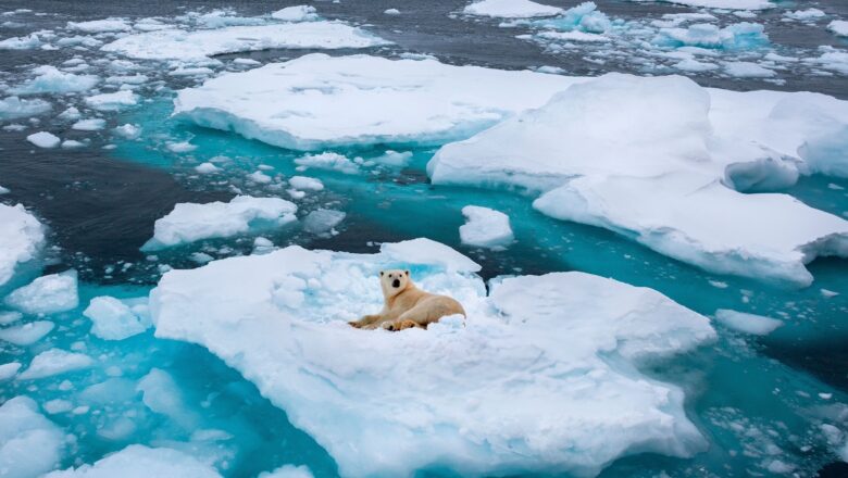 Glaciers Disappearing at Alarming Rate Losing 450 Billion Tonnes of Ice Annually