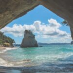 Historic Marine Protection Act Expands Safeguards for Hauraki Gulf Ecosystem