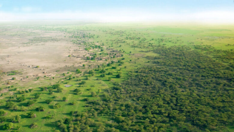 Africa Great Green Wall: Billions Pledged Little Green Seen