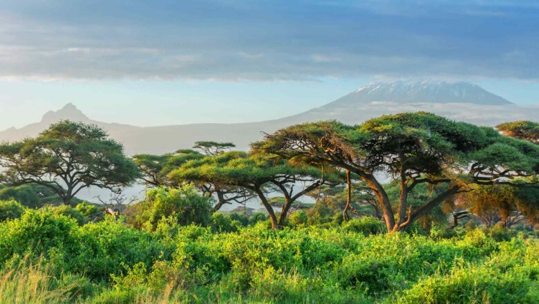 Africa Great Green Wall: Billions Pledged Little Green Seen