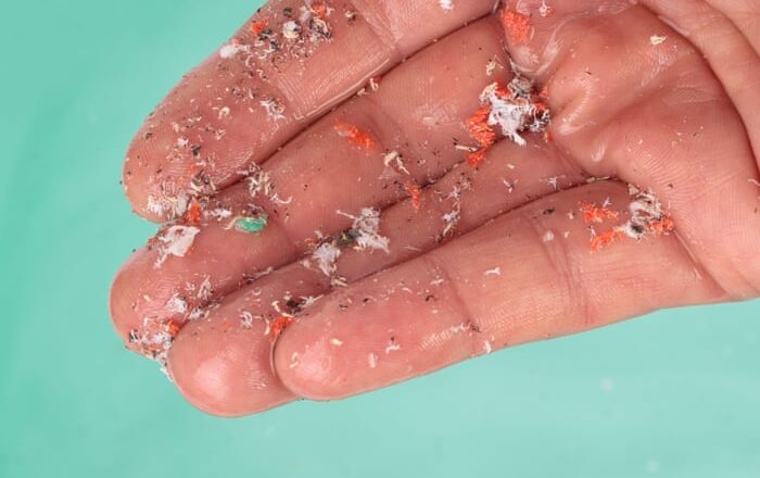 The Plastic Inside Us: Scientists Warn Microplastics May Be Reshaping Our Bodies and Minds