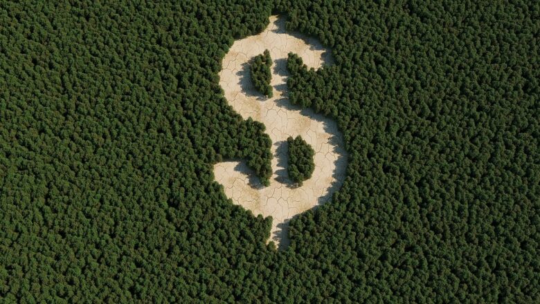 Global Forests Face $216 Billion Annual Funding Gap Report Calls for Tripling Investments by 2030