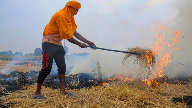 Punjab Stubble Fires Rise Again, Tarn Taran and Amritsar Emerge as Hotspots