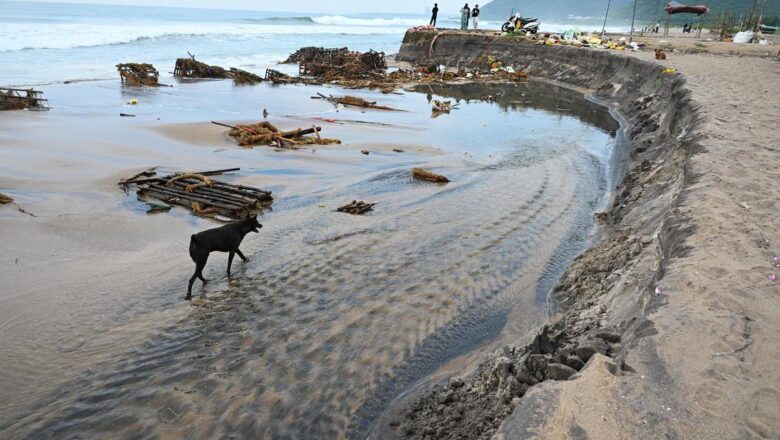 Andhra Pradesh to Build 5-km-Wide Great Green Wall to Shield Coastline from Cyclones and Climate Threats