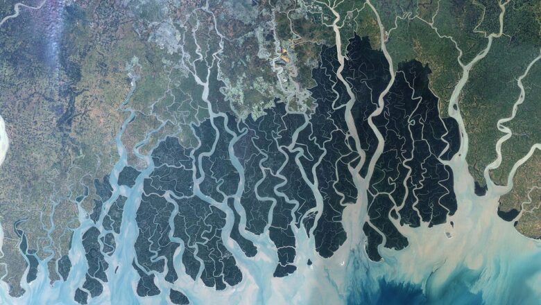 Sundarbans Where Climate Change and Human Struggle Collide