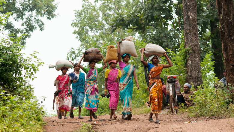 Chhattisgarh Village Challenges Cancellation of Forest Rights, Calls It Historic Injustice