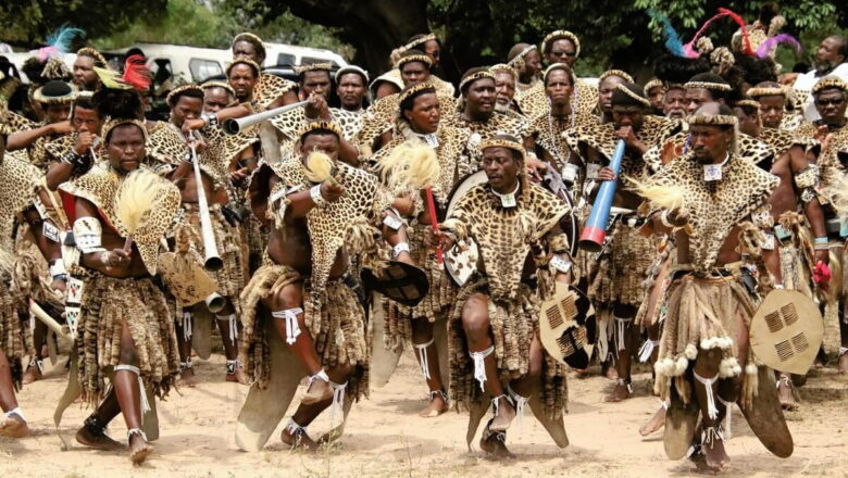 Cultural Traditions Pose Hidden Threat to Africa Wildcat Populations, Study Finds