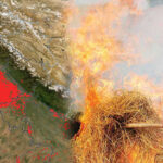 Delhi Report Finds Firecrackers Main Cause Despite 77% Drop in Stubble Burning